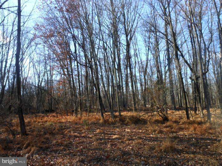 7219 Ferry Road New Hope, PA 18938 - Photo 13 of 13