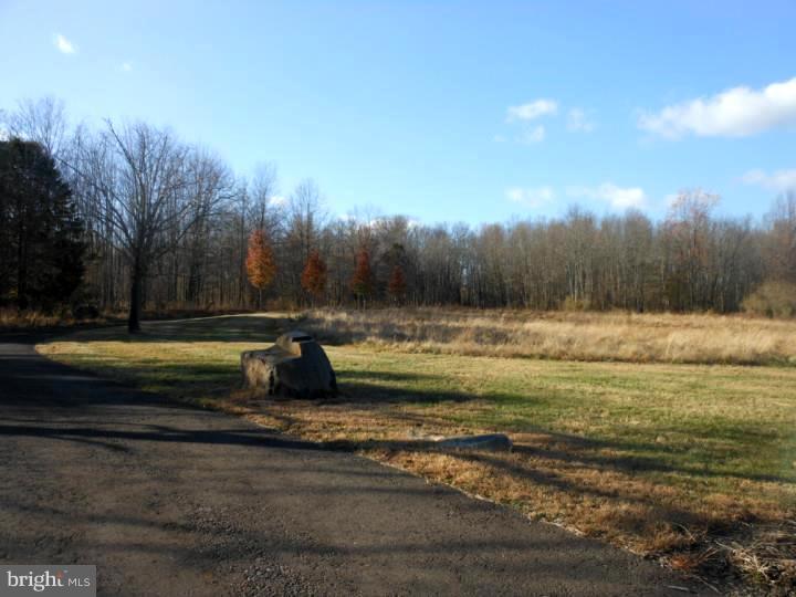 7219 Ferry Road New Hope, PA 18938 - Photo 3 of 13