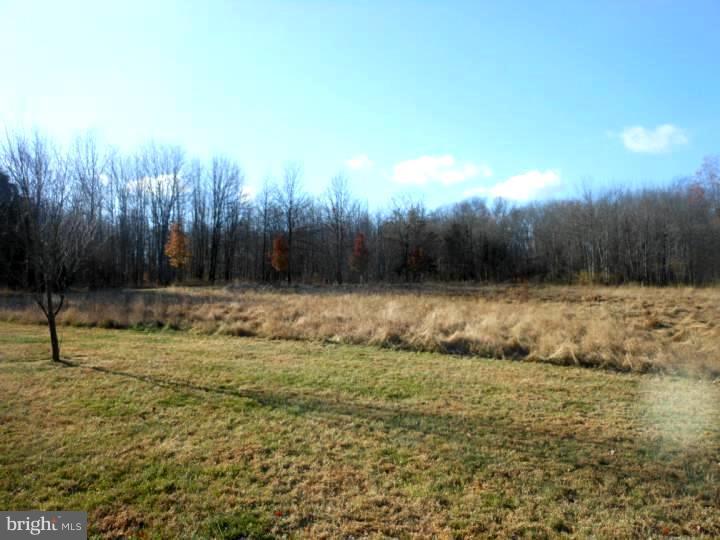 7219 Ferry Road New Hope, PA 18938 - Photo 5 of 13
