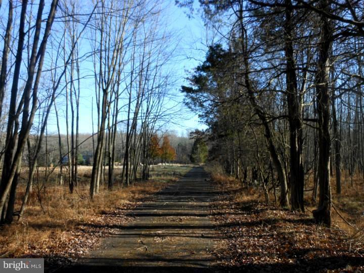 7219 Ferry Road New Hope, PA 18938 - Photo 7 of 13