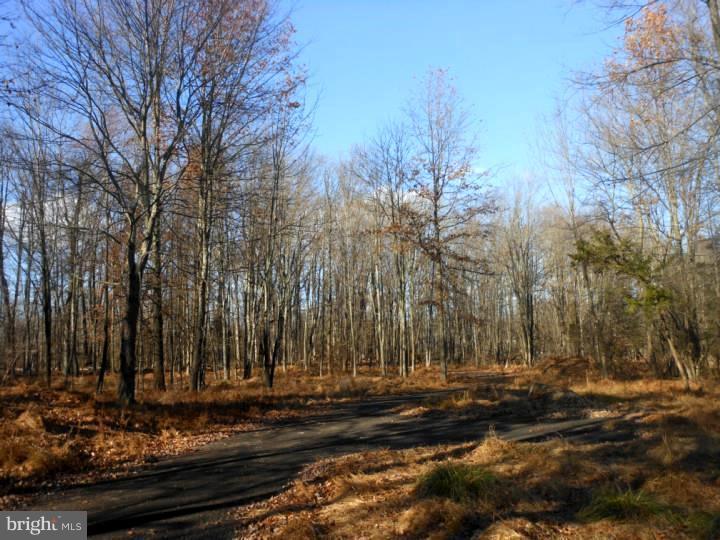 7219 Ferry Road New Hope, PA 18938 - Photo 8 of 13
