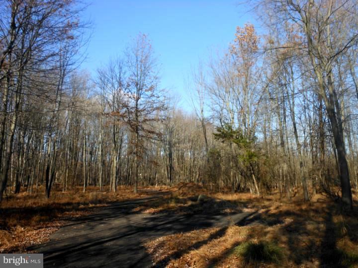 7219 Ferry Road New Hope, PA 18938 - Photo 9 of 13