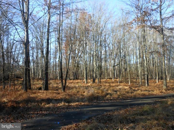 7219 Ferry Road New Hope, PA 18938 - Photo 10 of 13