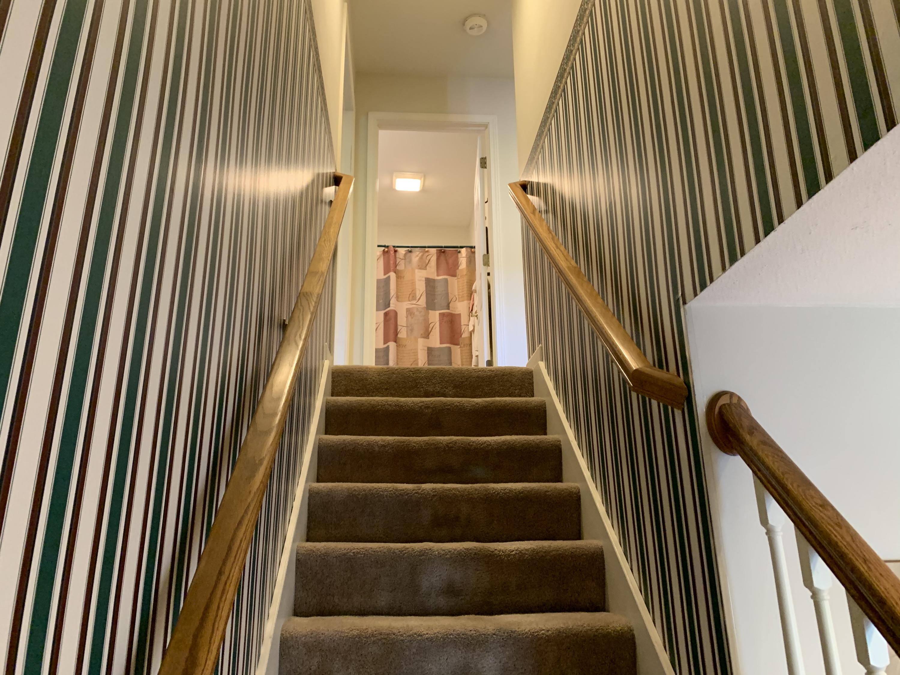 56365 Buffalo Drive Three Rivers, MI 49093 - Photo 16 of 36 Staircase