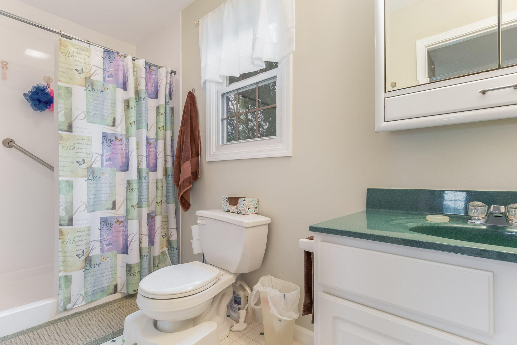 56365 Buffalo Drive Three Rivers, MI 49093 - Photo 19 of 36 Master Bathroom