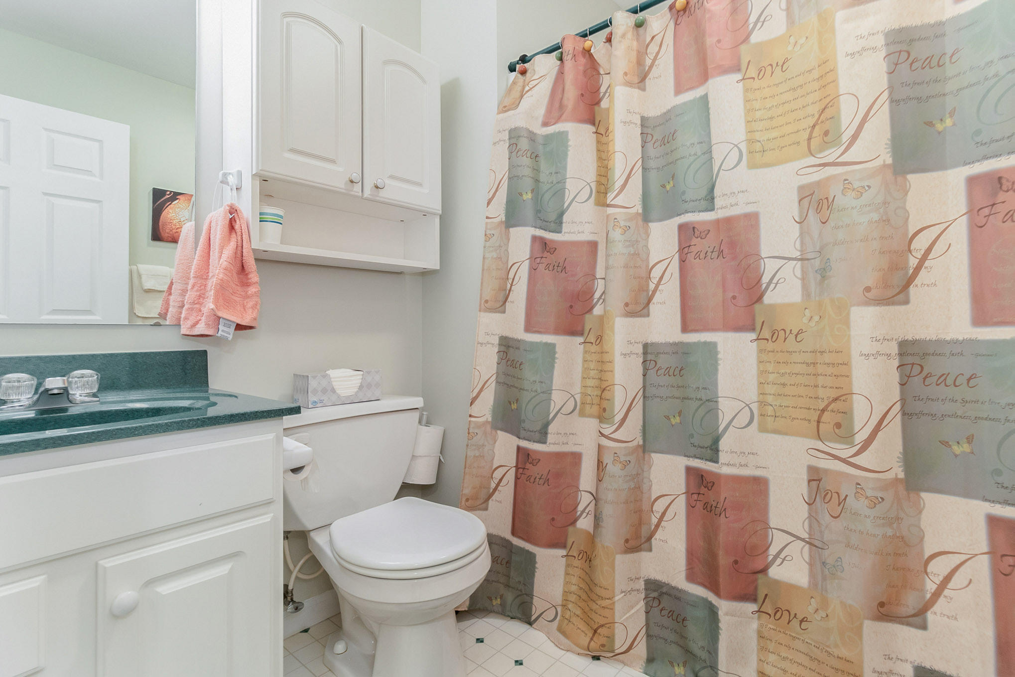 56365 Buffalo Drive Three Rivers, MI 49093 - Photo 22 of 36 2nd Bathroom