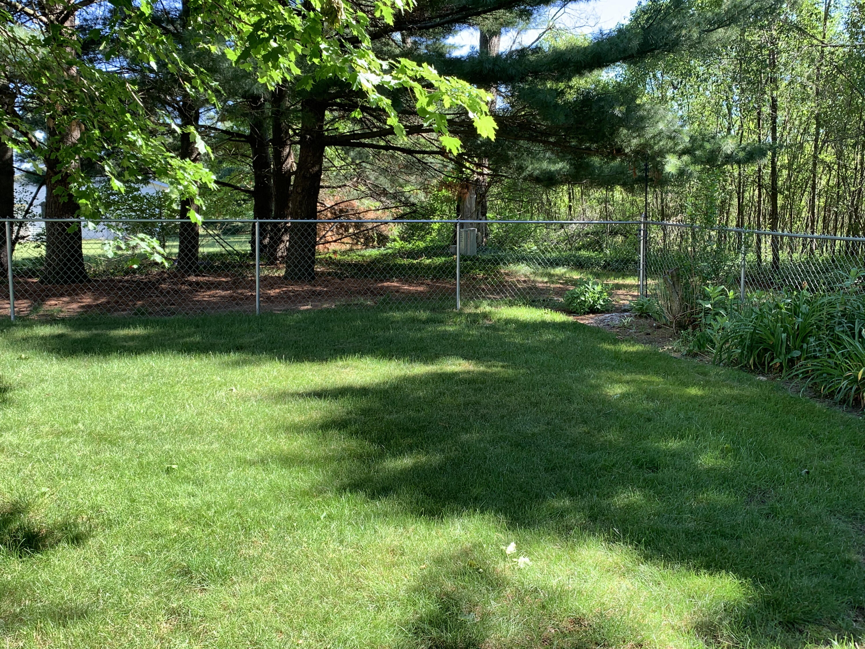 56365 Buffalo Drive Three Rivers, MI 49093 - Photo 31 of 36 Backyard