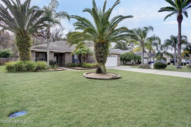 a view of a yard with palm trees