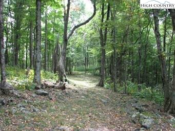 Burkett Road Boone, NC 28607 - Photo 15 of 17 Gallery Image 15