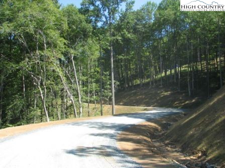 Burkett Road Boone, NC 28607 - Photo 3 of 17 Gallery Image 3