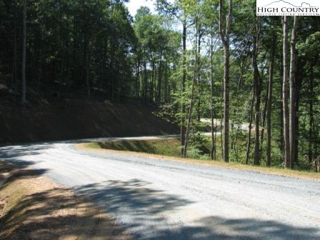 Burkett Road Boone, NC 28607 - Photo 4 of 17 Gallery Image 4