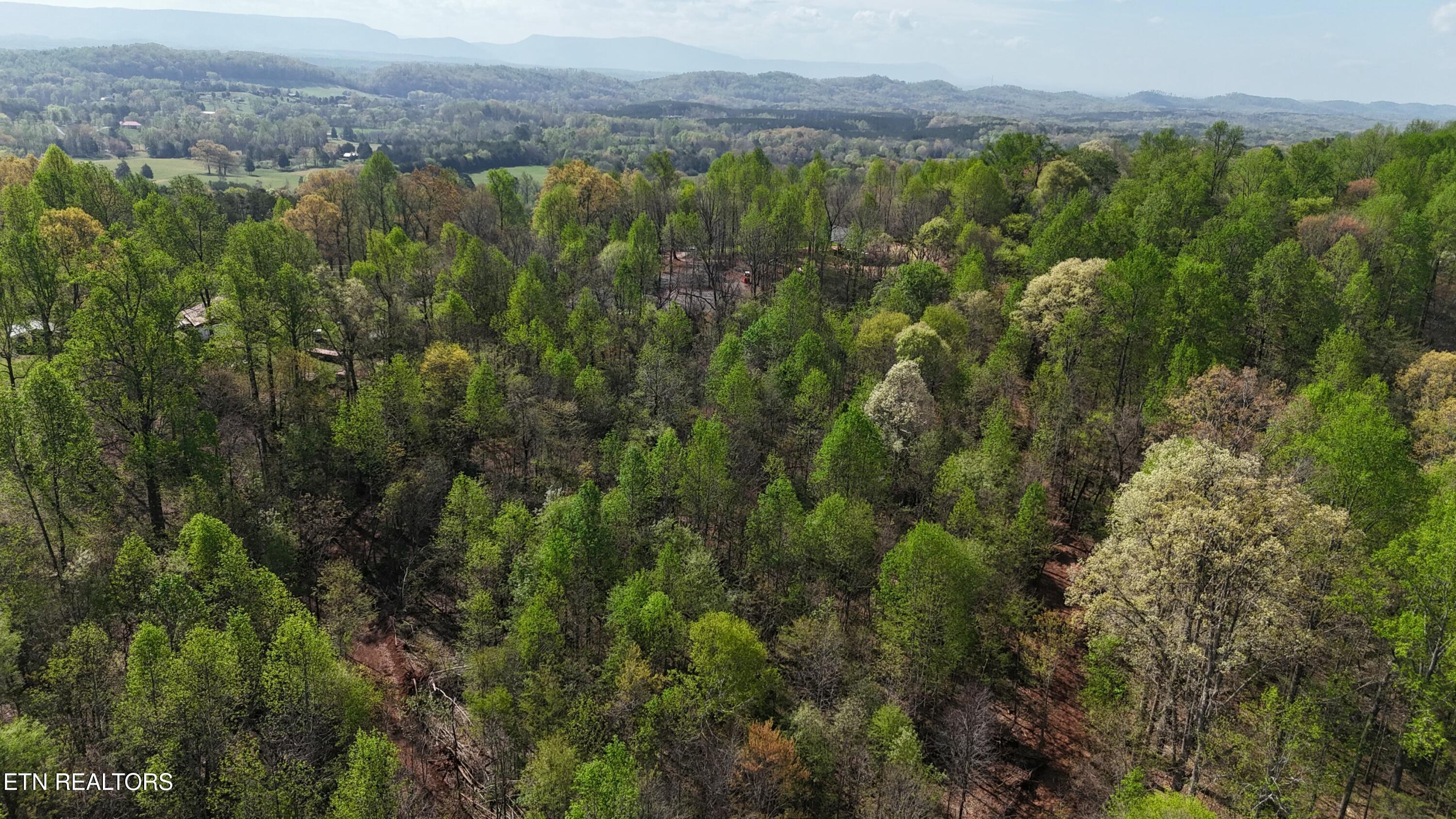 0 County Road 675 Riceville, TN 37370 - Photo 4 of 11 tempImagePr3eoP