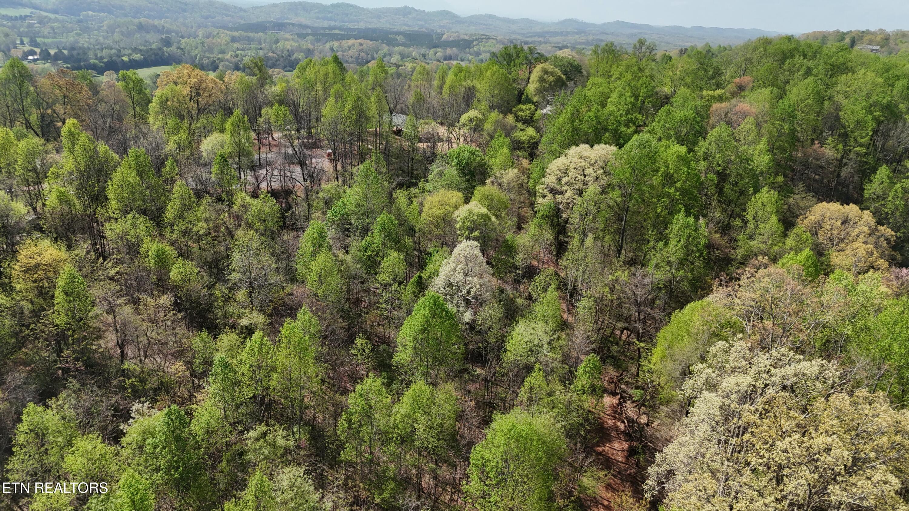 0 County Road 675 Riceville, TN 37370 - Photo 6 of 11 tempImageDV9PQe