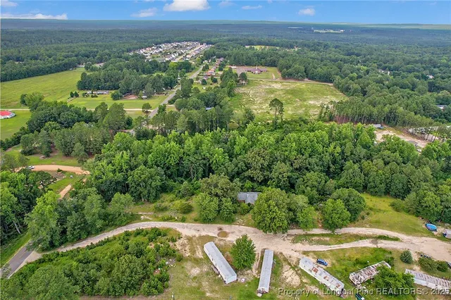 an aerial view of green landscape with trees houses and lake view