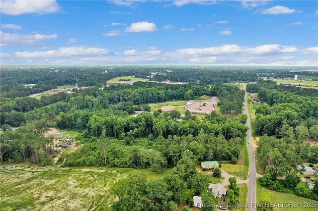 a view of a city with lush green forest