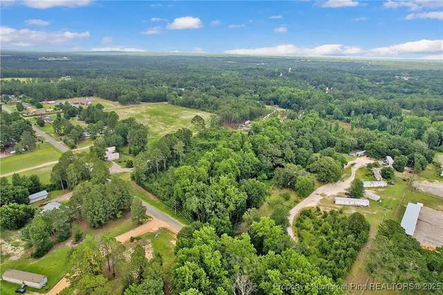 an aerial view of residential houses with outdoor space and trees