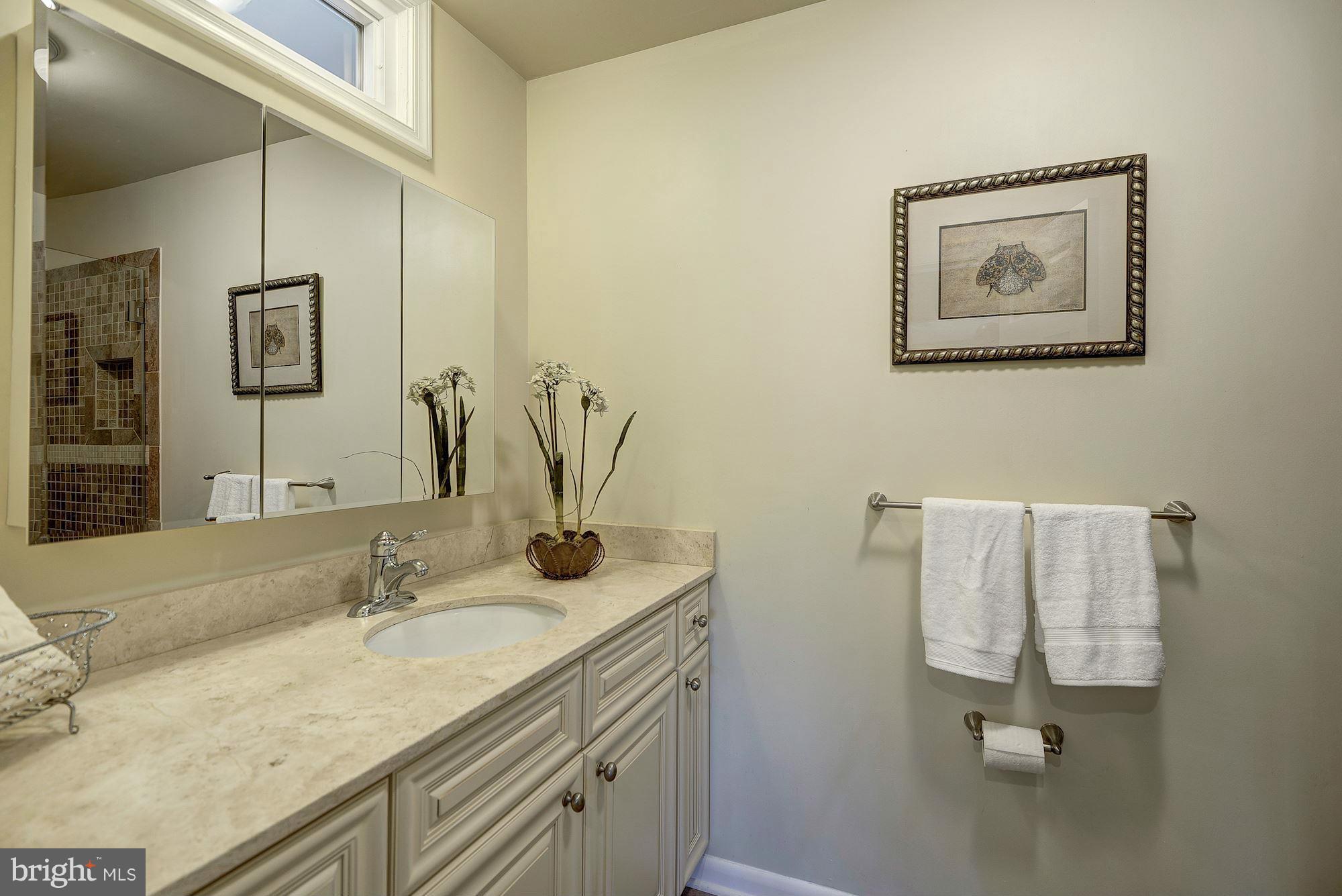 1620 Waters Edge Lane Reston, VA 20190 - Photo 21 of 30 a bathroom with a sink vanity and mirror