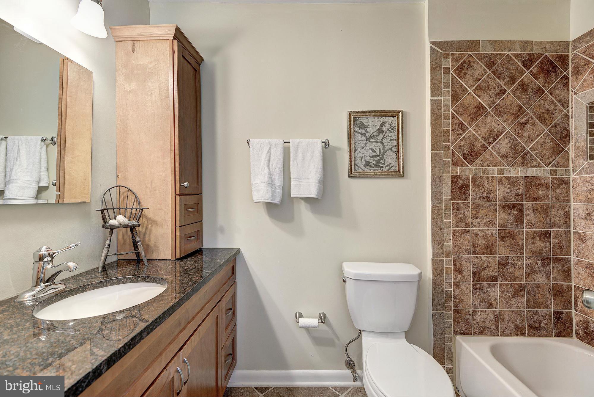 1620 Waters Edge Lane Reston, VA 20190 - Photo 25 of 30 a bathroom with a granite countertop toilet a sink and a mirror