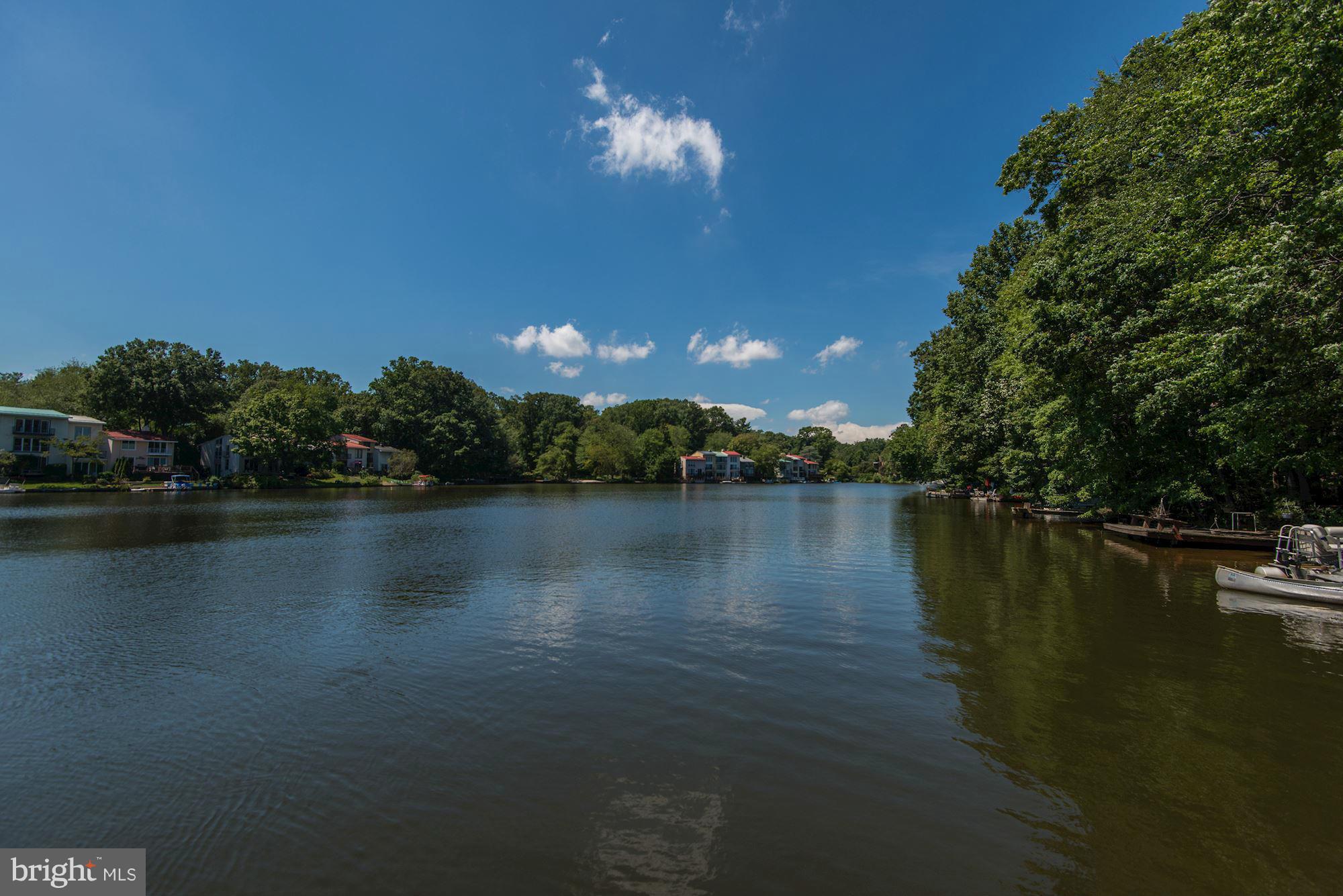 1620 Waters Edge Lane Reston, VA 20190 - Photo 30 of 30 a view of a lake in middle of forest