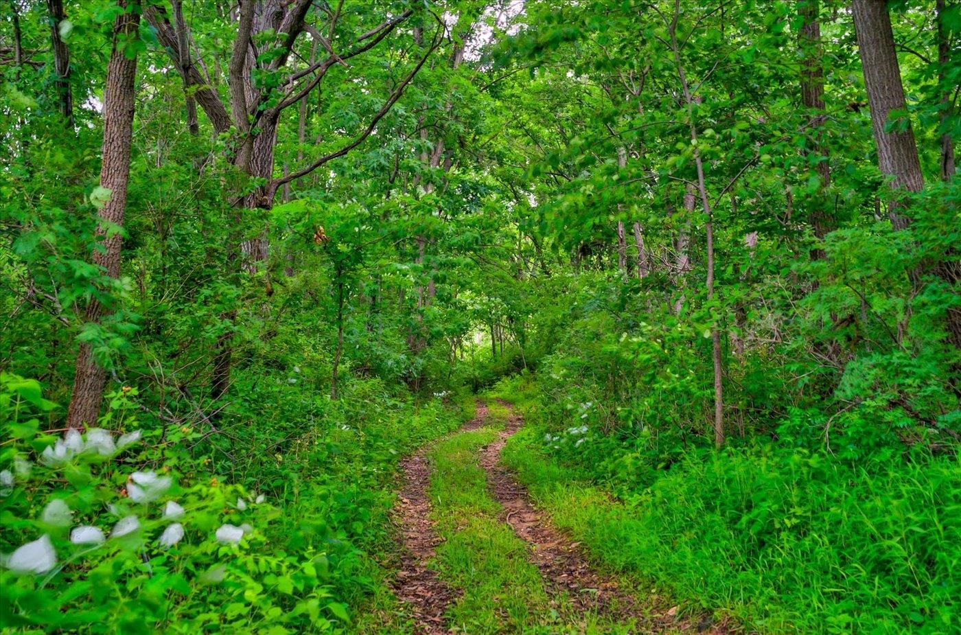7876 Autumn Pond Trail Middleton, WI 53562 - Photo 78 of 90