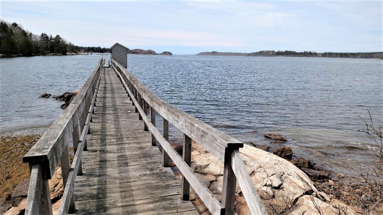 little ponds pierview