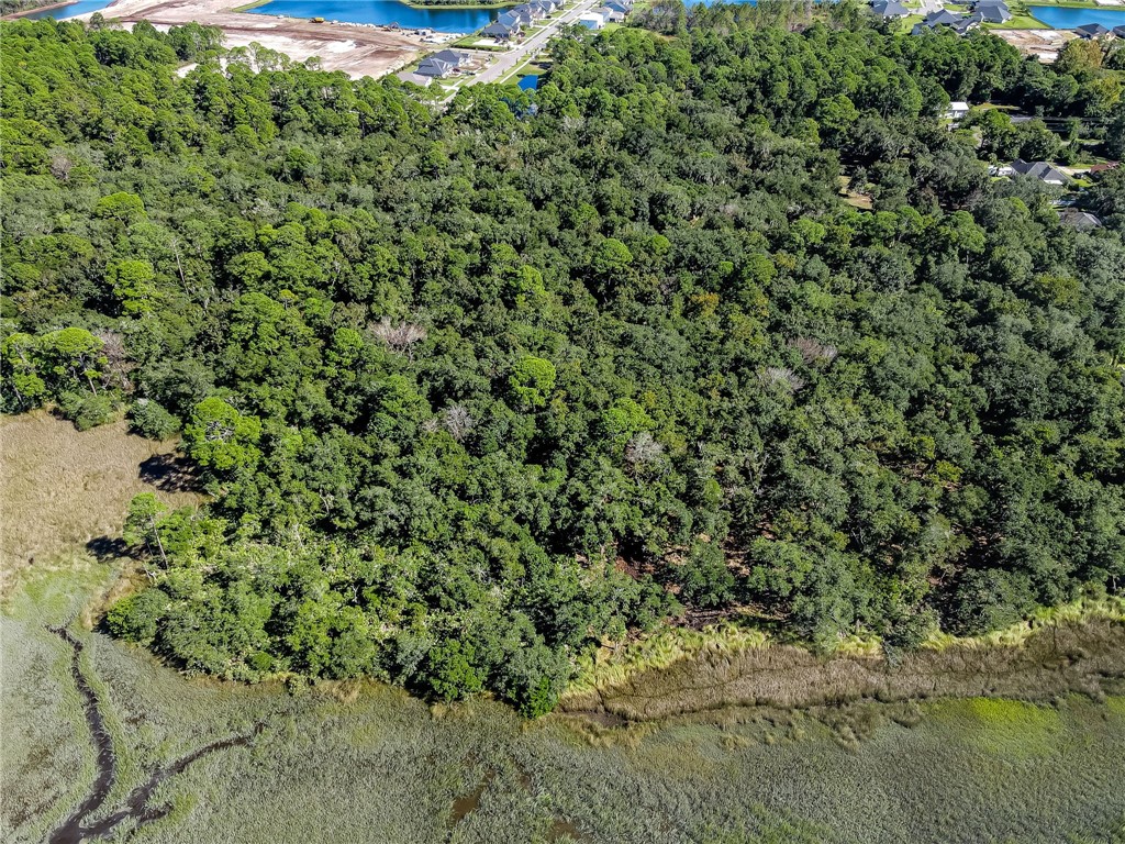 Parcel E Barnwell Road Fernandina Beach, FL 32034 - Photo 11 of 27 Gallery Image 11