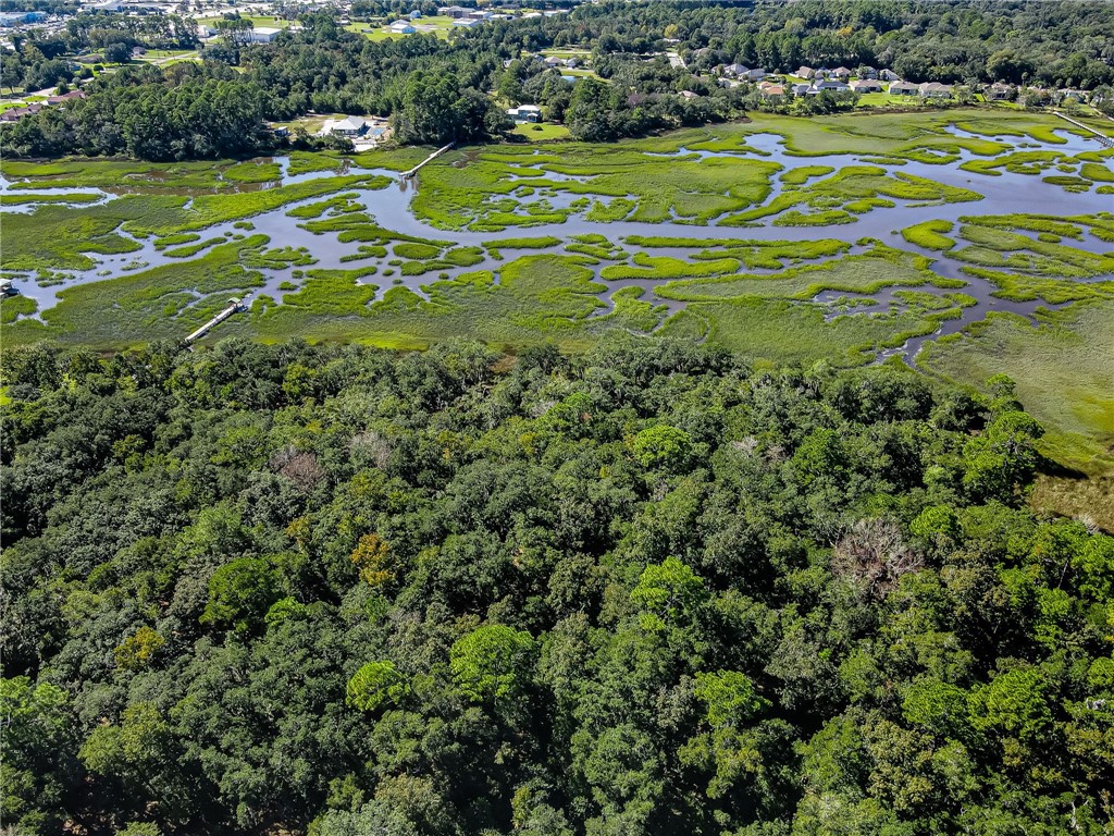 Parcel E Barnwell Road Fernandina Beach, FL 32034 - Photo 14 of 27 Gallery Image 14