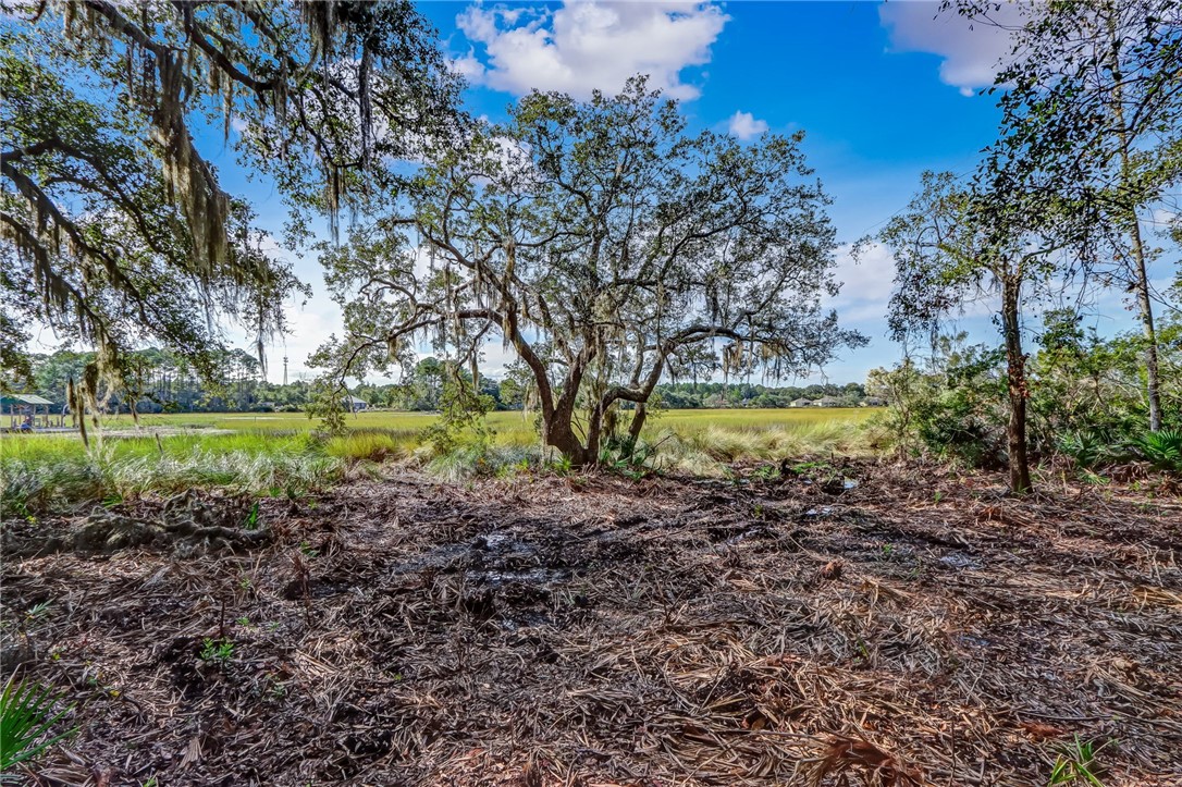 Parcel E Barnwell Road Fernandina Beach, FL 32034 - Photo 2 of 27 Gallery Image 2