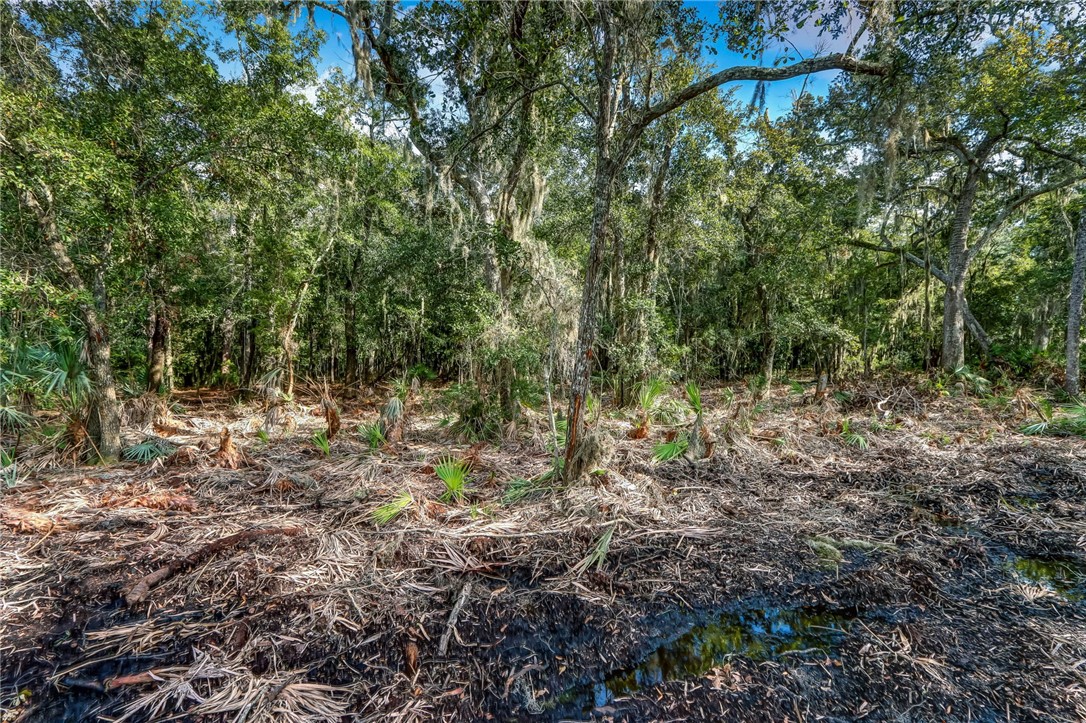Parcel E Barnwell Road Fernandina Beach, FL 32034 - Photo 24 of 27 Gallery Image 24