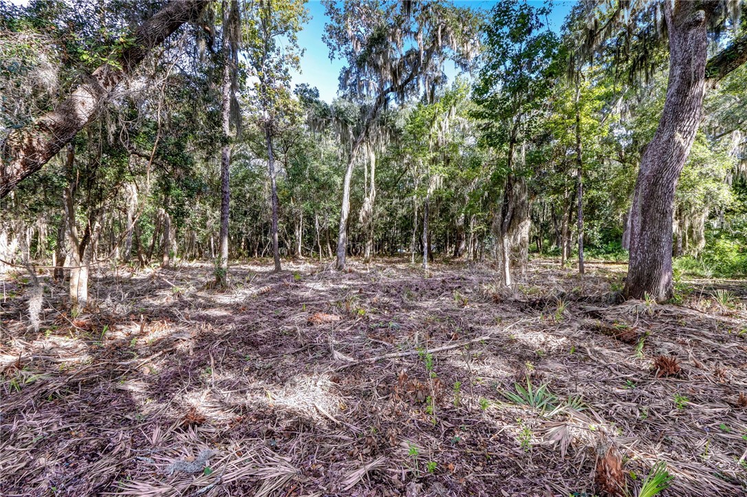 Parcel E Barnwell Road Fernandina Beach, FL 32034 - Photo 25 of 27 Gallery Image 25