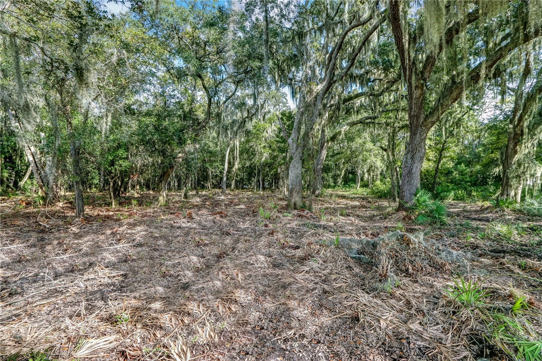 Parcel E Barnwell Road Fernandina Beach, FL 32034 - Photo 27 of 27 Gallery Image 27