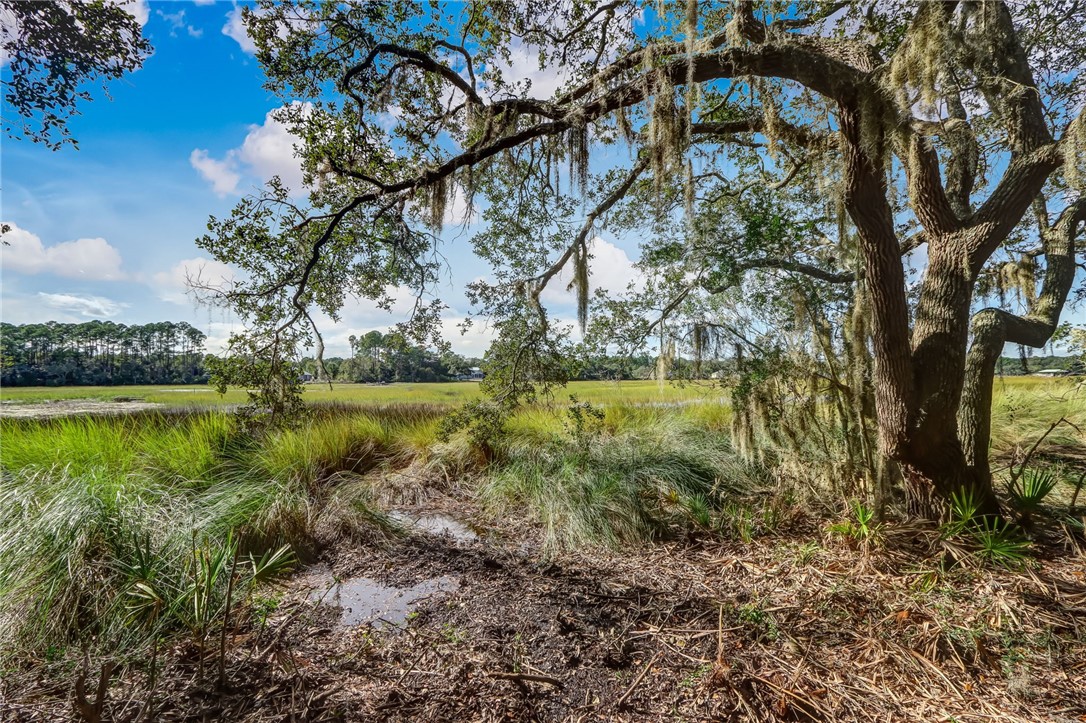 Parcel E Barnwell Road Fernandina Beach, FL 32034 - Photo 3 of 27 Gallery Image 3