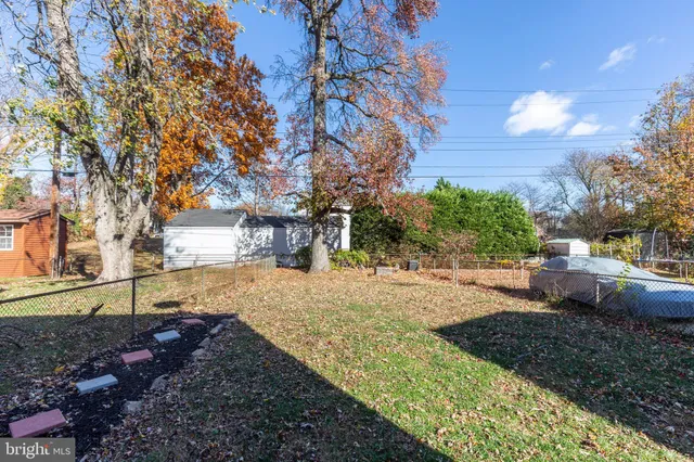 a view of a yard with plants and trees