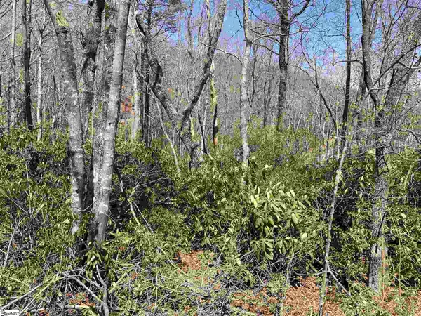 $30,000 | 12 Blazing Star Trail, Landrum, SC 29356