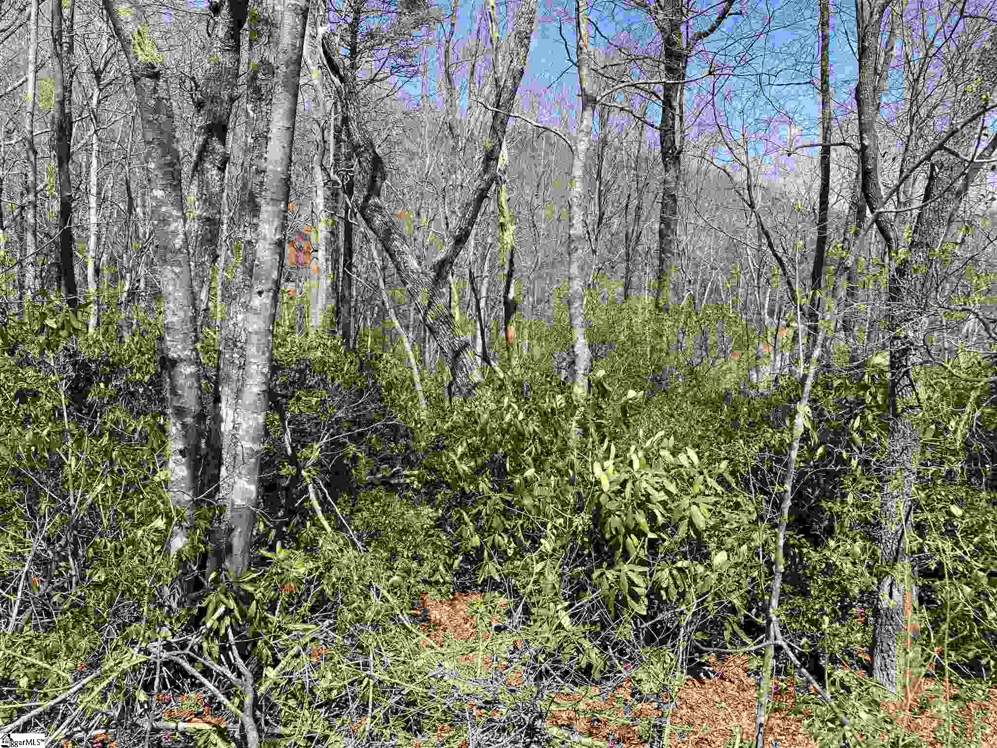 12 Blazing Star Trail Landrum, SC 29356 - Photo 1 of 3