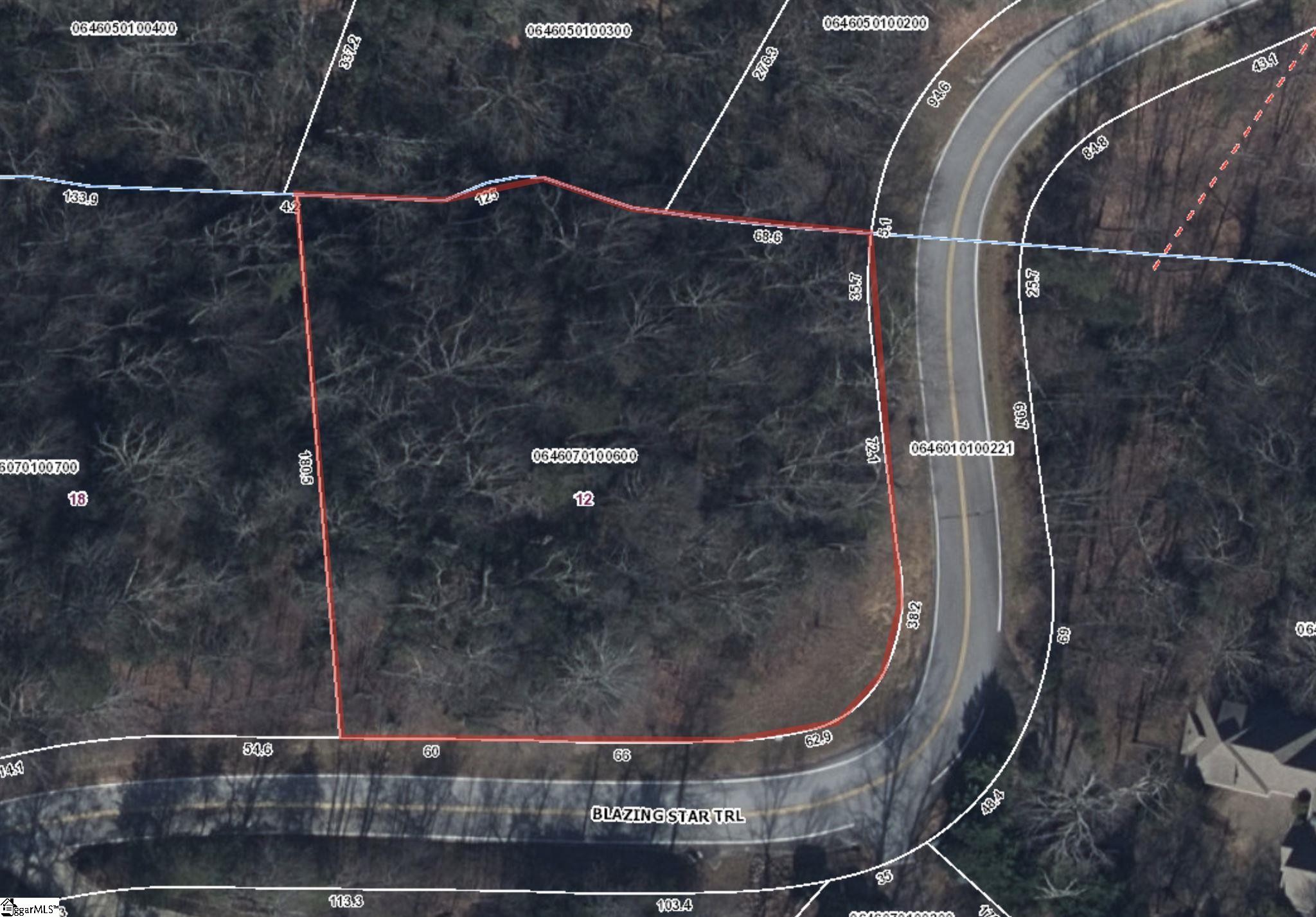 12 Blazing Star Trail Landrum, SC 29356 - Photo 3 of 3