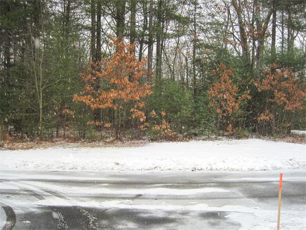 728 Burroughs Road Boxborough, MA 01719 - Photo 21 of 21 a view of a yard from a window
