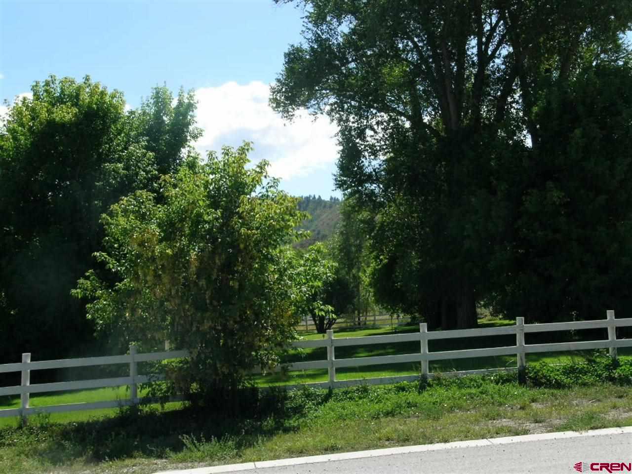 Lot 19 Le Ranch Boulevard Ridgway, CO 81432 - Photo 11 of 12 Gallery Image 11