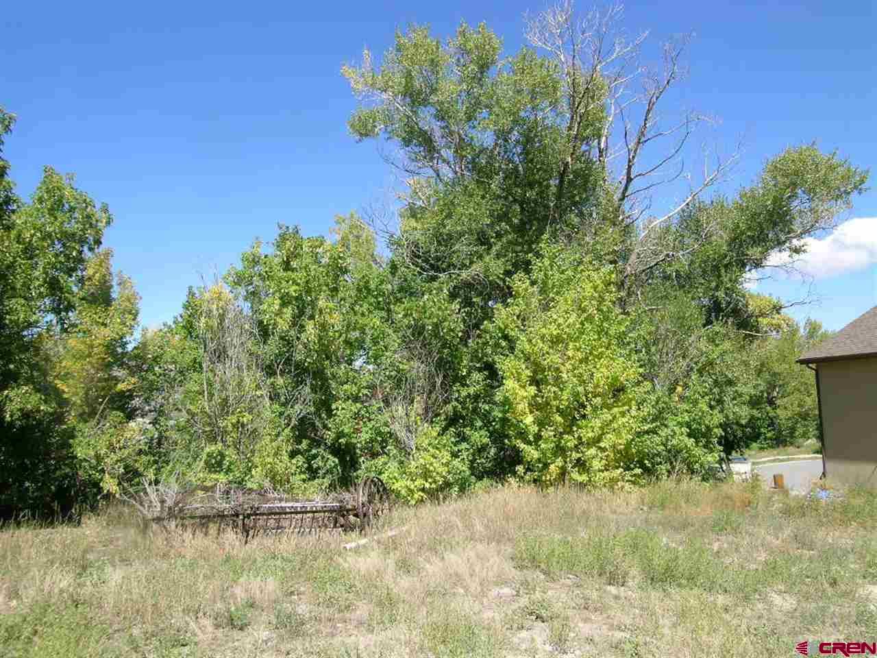 Lot 19 Le Ranch Boulevard Ridgway, CO 81432 - Photo 12 of 12 Gallery Image 12
