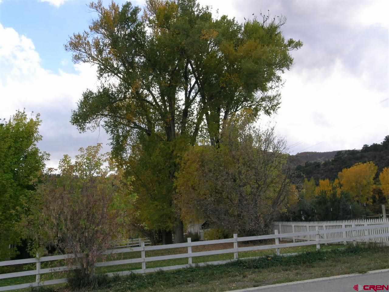 Lot 19 Le Ranch Boulevard Ridgway, CO 81432 - Photo 6 of 12 Gallery Image 6