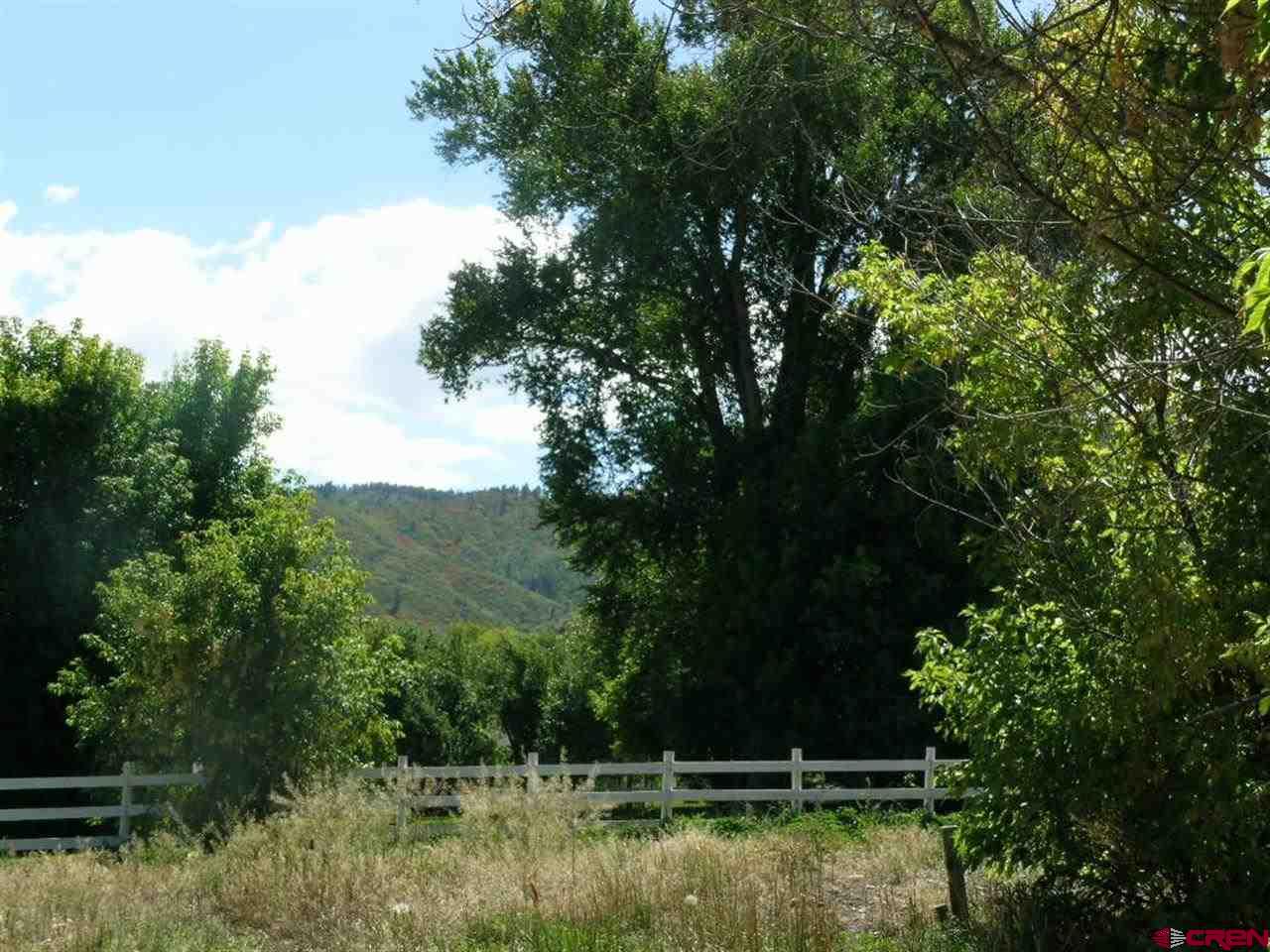 Lot 19 Le Ranch Boulevard Ridgway, CO 81432 - Photo 7 of 12 Gallery Image 7