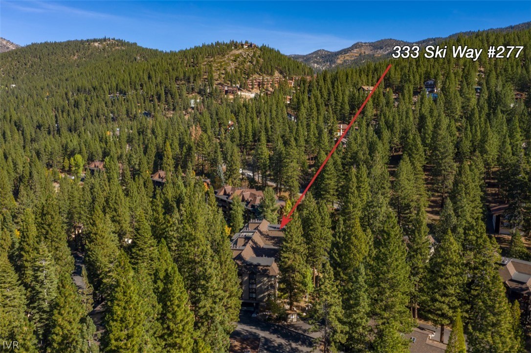 333 Ski Way, Unit 277 Incline Village, NV 89451 - Photo 26 of 33 a view of a lush green forest with a mountain