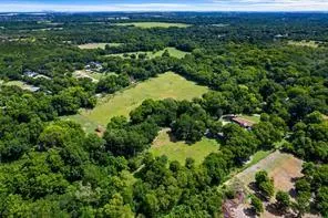a view of a lush green forest with lots of trees