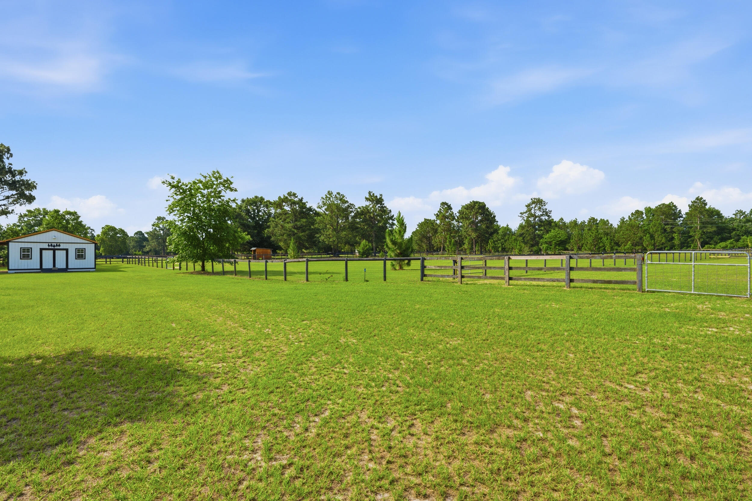 685 Centerwood Road Williston, SC 29853 - Photo 32 of 42