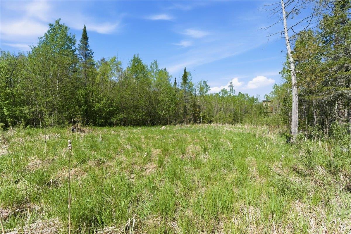 0 County Highway J Deerbrook, WI 54424 - Photo 5 of 78
