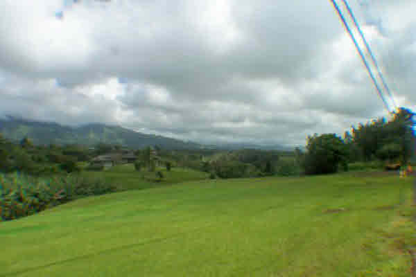 Lot B Kuamoo Road Kapaa, HI 96746 - Photo 1 of 7 a view of a green yard