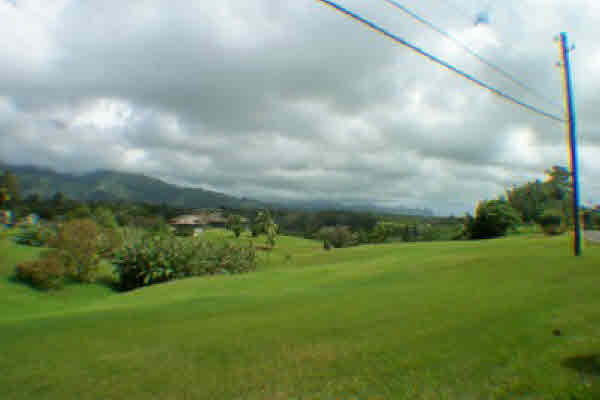 Lot B Kuamoo Road Kapaa, HI 96746 - Photo 3 of 7 a view of a big yard with a house in the background