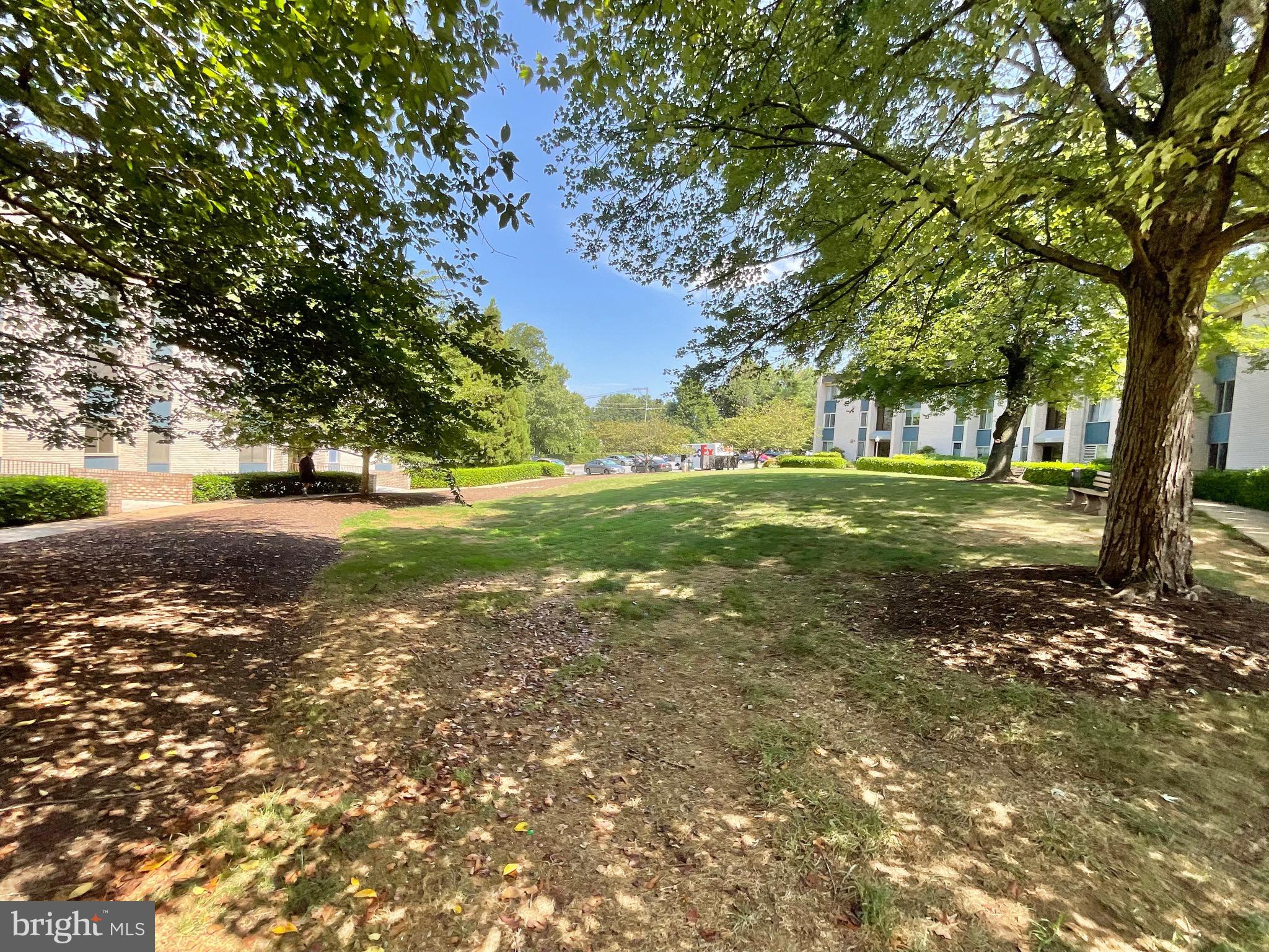 2509 Baltimore Road, Unit 4 Rockville, MD 20853 - Photo 23 of 27 Courtyard view from 2509