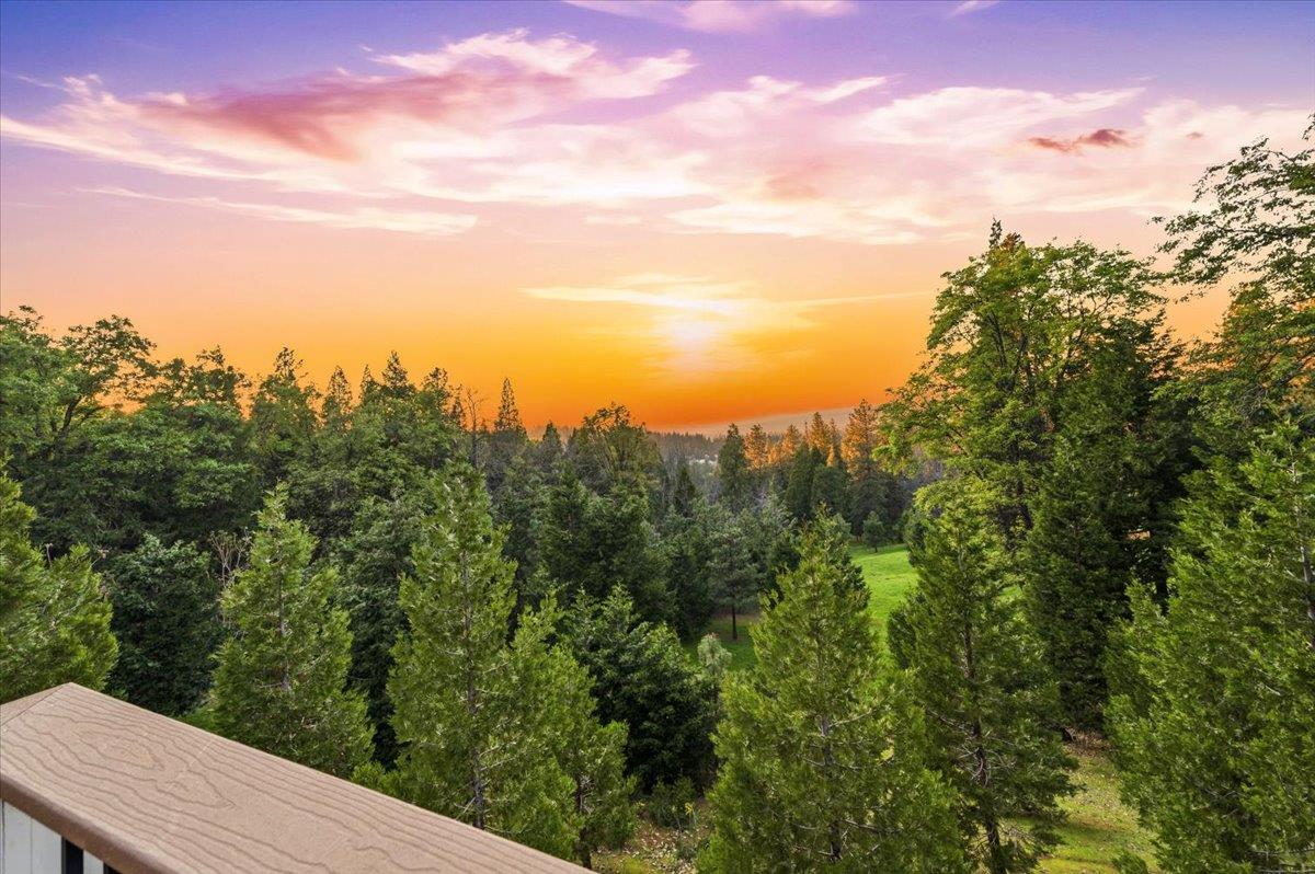 11198 Pittsburg Mine Road Nevada City, CA 95959 - Photo 43 of 58