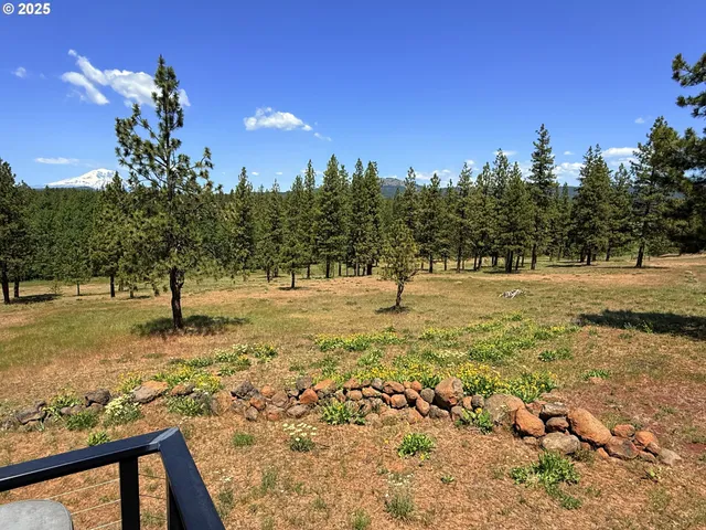 a view of a yard with a tree